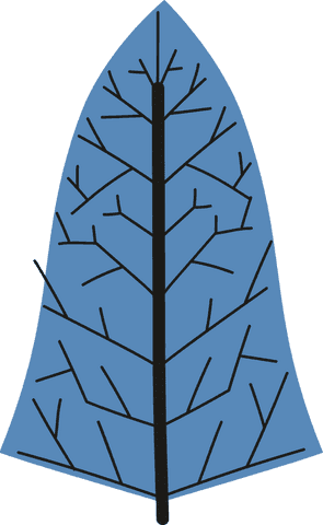 Illustrative blue leaf with black veins on transparent background