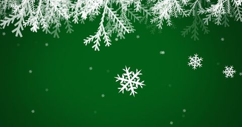 Festive Christmas Background with Snowflakes and White Leaves - Download Free Stock Images Pikwizard.com