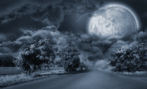 Translucent Nightscape with Moon Illuminating Road Through Trees - Download Free Stock Videos Pikwizard.com