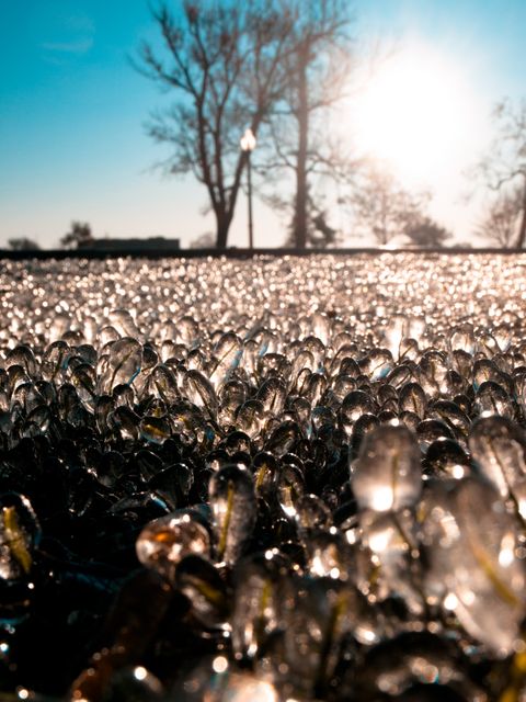 Sunlight reflects off frozen bubbles on ground while trees stand in the background under a clear blue sky. Ideal for themes involving nature's beauty, winter landscapes, and abstract outdoor scenes. Great for use in seasonal promotions, nature blogs, and background imagery.