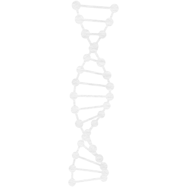 Transparent Double Helix DNA Structure Illustration With White Elements - Download Free Stock Videos Pikwizard.com