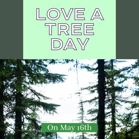 love a tree day celebration banner with forest background - Download Free Stock Templates Pikwizard.com