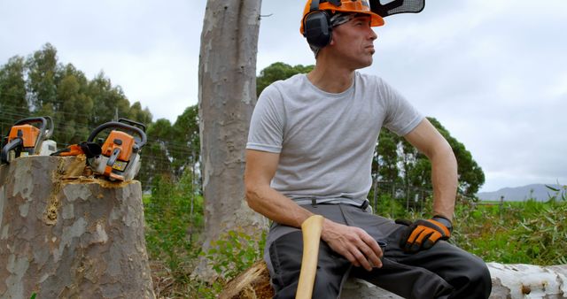 Lumberjack Pauses During Woodland Tree Felling with Chainsaw Gear - Download Free Stock Images Pikwizard.com