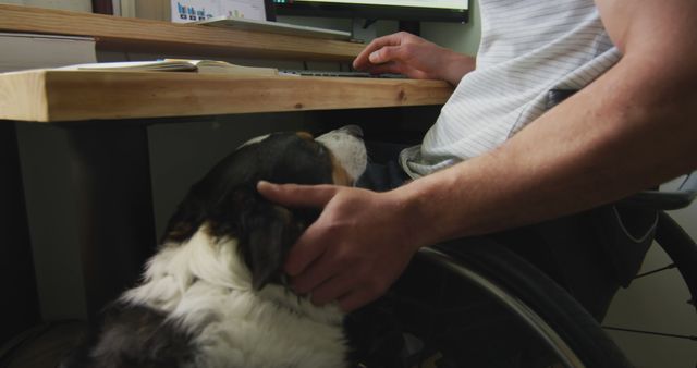 Man in a wheelchair working at a desk with a computer while petting his dog. The scene highlights inclusivity, work-from-home setups, and the bond between humans and pets. Useful for topics around disability, remote work, home office setups, or pet companionship.