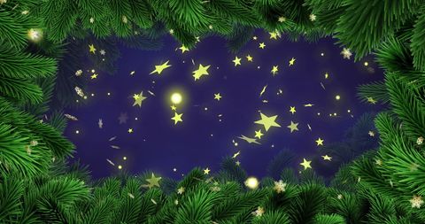 Enchanted Night Sky with Stars and Fir Branches Holiday Scene
