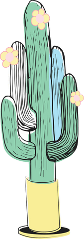 Colorful blooming cactus illustration on transparent background