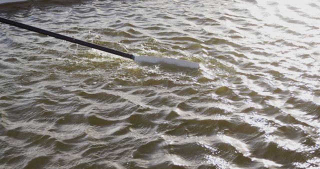 Paddle Creating Ripples on Water Surface - Download Free Stock Images Pikwizard.com