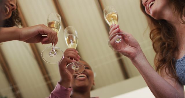 Group of Women Toasting with Champagne at Celebration - Download Free Stock Images Pikwizard.com