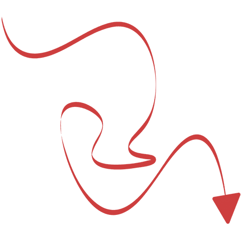 Curved Red Arrow Vector on Transparent Background - Download Free Stock Videos Pikwizard.com