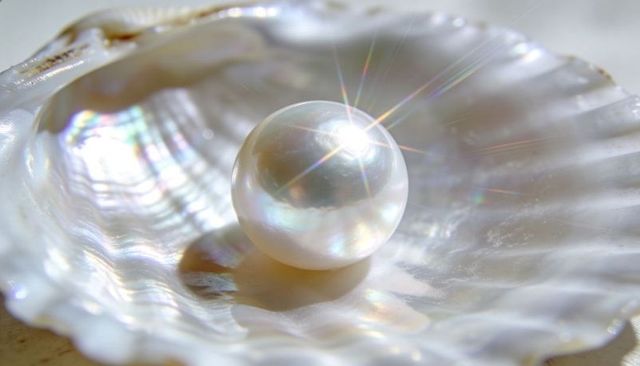 Lustrous pearl resting inside iridescent seashell, starburst reflection and nacre glow