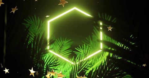 Neon hexagon casting green glow through tropical palm fronds with gold star confetti
