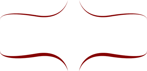 Abstract Elegant Red Cross Shape Art on Transparent Background - Download Free Stock Videos Pikwizard.com