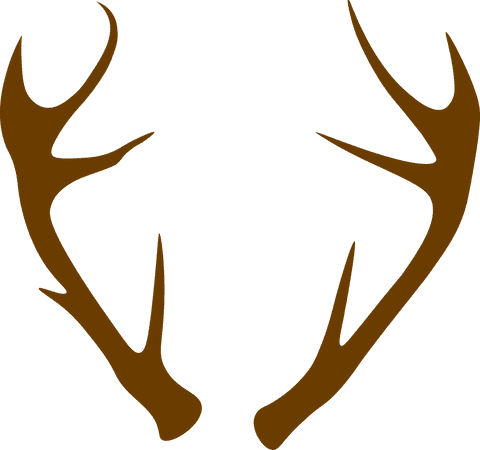 Decorative Brown Antlers on Transparent Background for Creative Design - Download Free Stock Videos Pikwizard.com