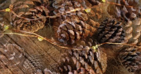 Festive Pine Cones with Twinkling Holiday Lights - Download Free Stock Images Pikwizard.com