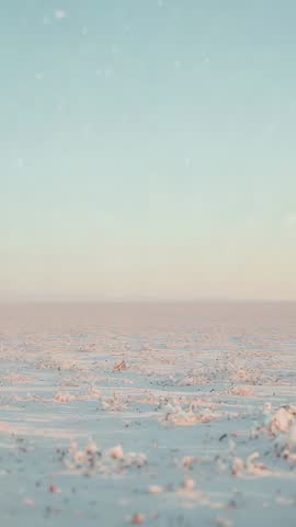 Wind lifting snow on frozen plain at sunrise | Vertical video of Arctic winter minimalism