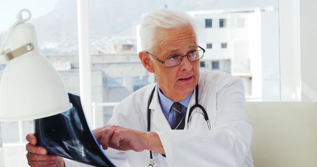 Senior Doctor Examining Medical X-Ray in Office - Download Free Stock Images Pikwizard.com