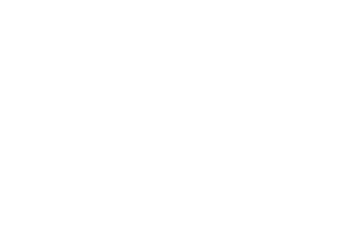 seamless pattern of white flowers on transparent background - Download Free Stock Videos Pikwizard.com