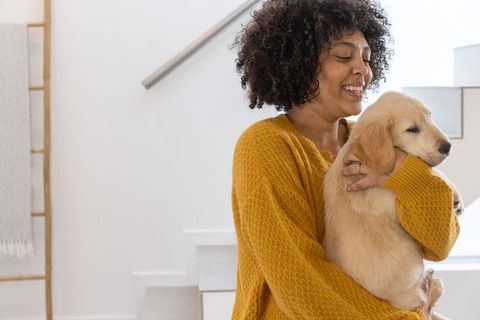Smiling woman holding golden retriever puppy in cozy modern home interior, natural light