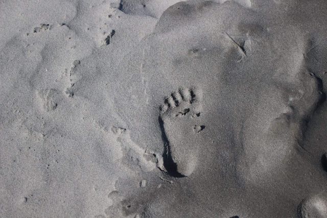 Footprint in smooth, wet sand on beach; conveys calm and peaceful atmosphere. Ideal for travel promotions, nature themes, environmental campaigns, or background images highlighting vacation or relaxation concepts.