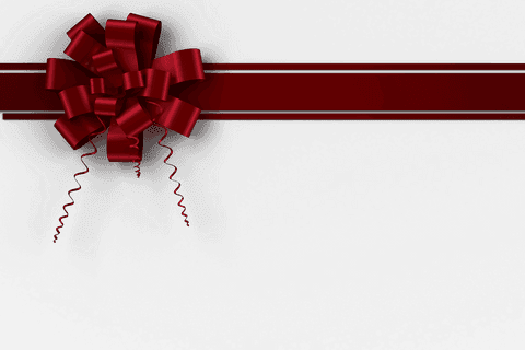 Transparent red christmas bow with decorative ribbon