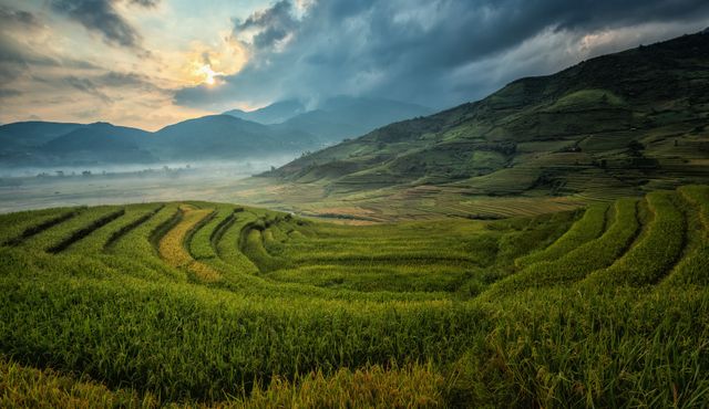 Breathtaking Rice Terraces with Misty Mountains at Sunrise - Download Free Stock Photos Pikwizard.com