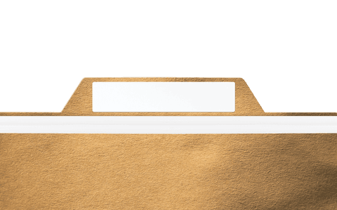 Gold and White Banner on Transparent Background with Copy Space - Download Free Stock Videos Pikwizard.com