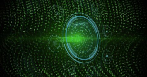 Digital fingerprint and data processing overlay visualization