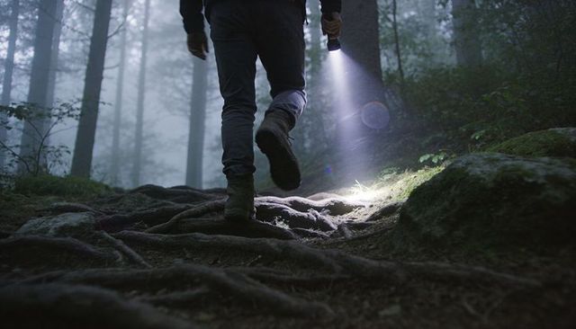 Hiker walking night trail holding flashlight in misty pine forest, roots rugged terrain