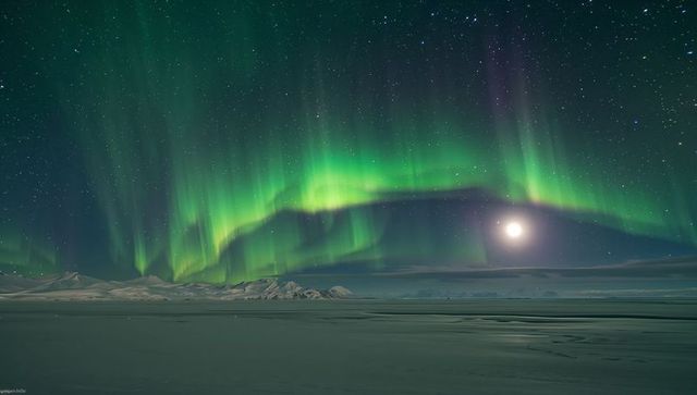 Green Aurora Arching Over Arctic Ice Plain with Full Moon and Snowy Mountains