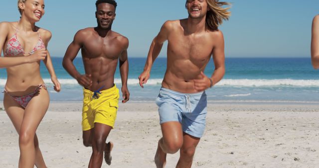 Group of Friends Having Fun Running on Sunny Beach - Download Free Stock Images Pikwizard.com