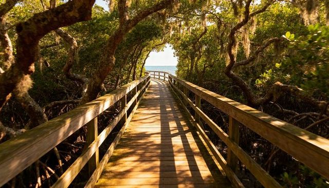 Sunlit wooden boardwalk winding through mangrove tunnel toward ocean horizon, golden hour light