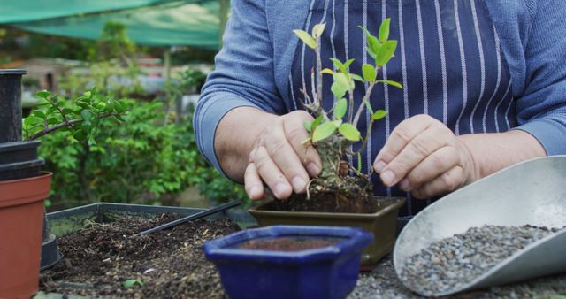 A senior person potting a plant in an outdoor garden, wearing an apron. Ideal for articles or content related to gardening, outdoor hobbies, senior activities, plant care, and nature. Can be used in blogs, magazines, or websites promoting healthy and active lifestyles for older adults.