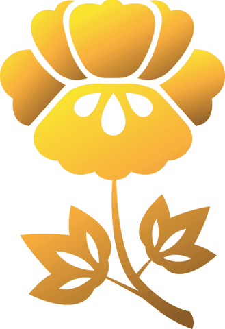 golden floral design with transparent png element - Download Free Stock Videos Pikwizard.com