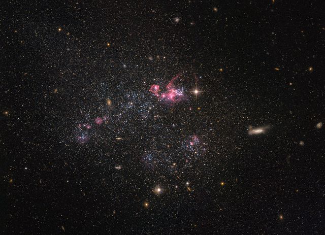 Irregular dwarf galaxy UGC 4459 observed by NASA/ESA Hubble Space Telescope, located about 11 million light-years away in Ursa Major. Lacking distinct structure and shape, showcasing chaotic appearance typical of irregular dwarf galaxies. Rich with young blue and older red stars, making it compelling for studies on primordial environments and star formation processes. Useful for educational content, astronomy visuals, and space-themed media.