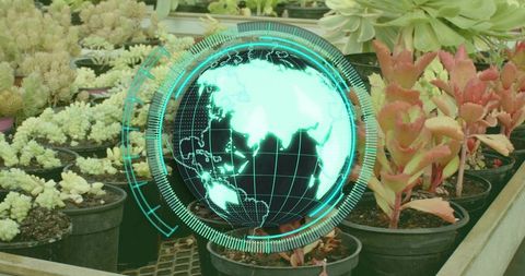 Futuristic digital globe hovering above succulent pots linking horticulture and sustainable tech