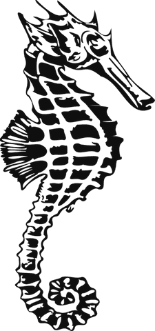 Silhouette of seahorse with transparent background vector art