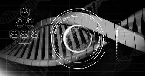 Digital Representation of DNA Strand with Data and Human Icons