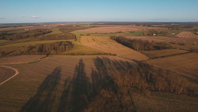 Long tree shadows stretching across golden patchwork farmland at sunset
