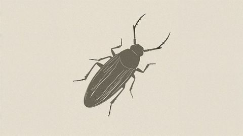 Simple cockroach silhouette on cream background