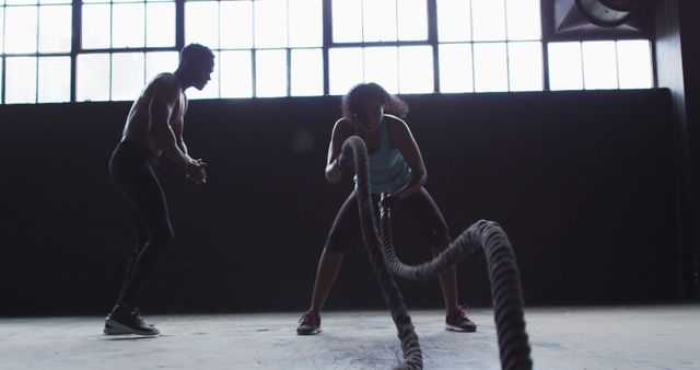 Fitness Enthusiasts Performing Battle Ropes Workout in Gym - Download Free Stock Images Pikwizard.com