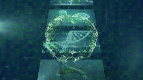 Rotating Brain Animation with Digital Data and DNA Screen