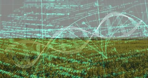Digital DNA on Farmland: Biotechnology Meets Agriculture