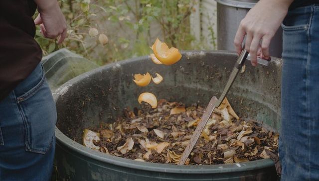 Two gardeners tossing orange peels into compost bin while stirring with metal garden fork