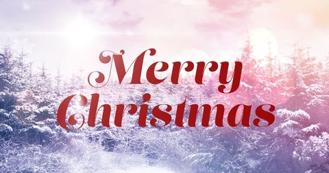 Festive Merry Christmas Text Over Snowy Winter Scene - Download Free Stock Images Pikwizard.com