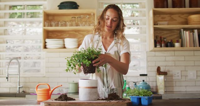 Woman transplanting herb plant in a modern kitchen with natural light, wearing casual clothes. Ideal for articles or advertisements about home gardening, indoor plants, organic living, sustainability, green lifestyle, and relaxation at home.
