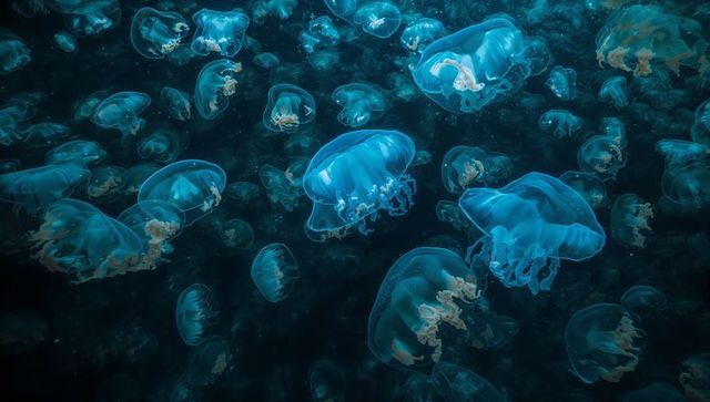Bioluminescent Jellyfish Gracefully Gliding in Mystic Deep Sea