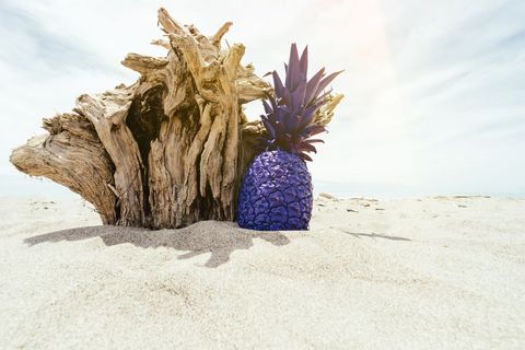 Purple pineapple resting beside weathered driftwood on bright minimalist sandy beach