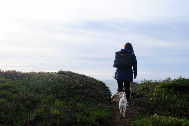 Woman hiking along scenic coastal path with her dog, showcasing outdoor adventure and companionship in nature. Image suitable for travel blogs, brochures promoting hiking trails, and advertisements for outdoor gear. Ideal for illustrating themes of exploration, freedom, and active lifestyle.