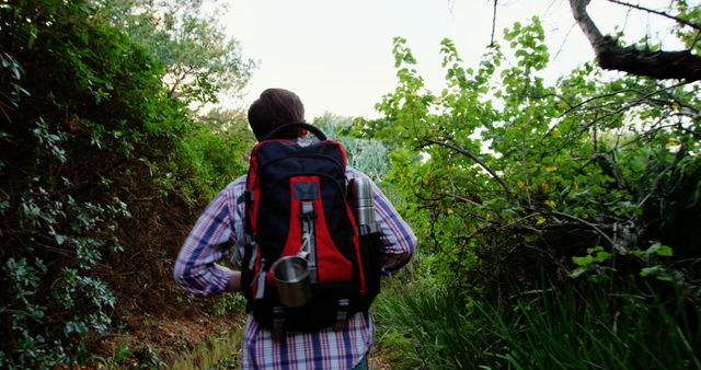 A young Caucasian man is hiking through a lush forest, with copy space. He is equipped with a backpack and a metal cup, suggesting he's prepared for an outdoor adventure.
