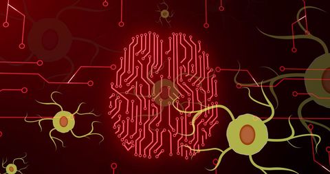 futuristic brain with neural networks and circuit elements - Download Free Stock Images Pikwizard.com